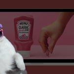 Тренд Barbie повернувся, Heinz і Mattel випустили рожевий соус Barbie-cue