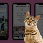 Шлях клієнта в TikTok [найповніше пояснення]