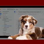 Як відстежувати трафік сайту в Google Analytics 4