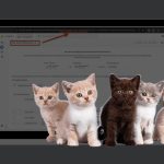 Прихований інструмент Google виявляє розбіжності між GA4 і Google Ads