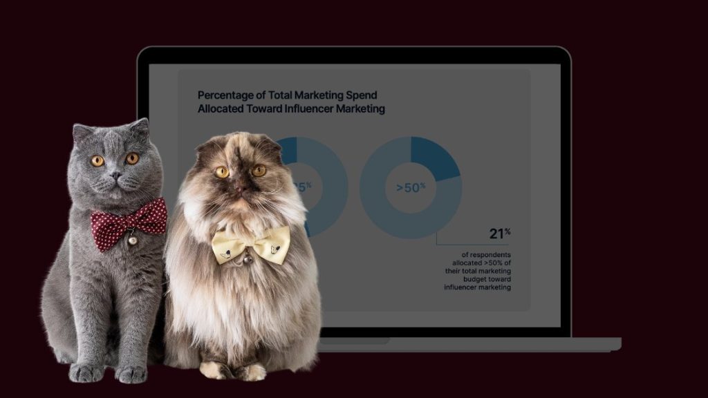 42% опитаних використовували ChatGPT для створення підписів у соціальних мережах у 2024