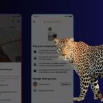 Meta пояснила, як працює її алгоритм Instagram та рекомендації у 2023