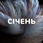 Маркетинговий календар інфоприводів на січень
