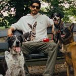 Бренд собачого печива Milk-Bone запустив рекламну кампанію з модним брендом одягу Only NY – Less Catwalk. More Dogwalk.