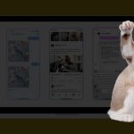 Meta пропонує вдосконалений AI чатбот тепер у всіх своїх програмах
