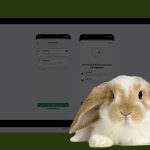 У Meta доповіли, як WhatsApp і Messenger взаємодіятимуть з іншими додатками в ЄС