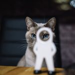 негативні підписи в Instagram та TikTok