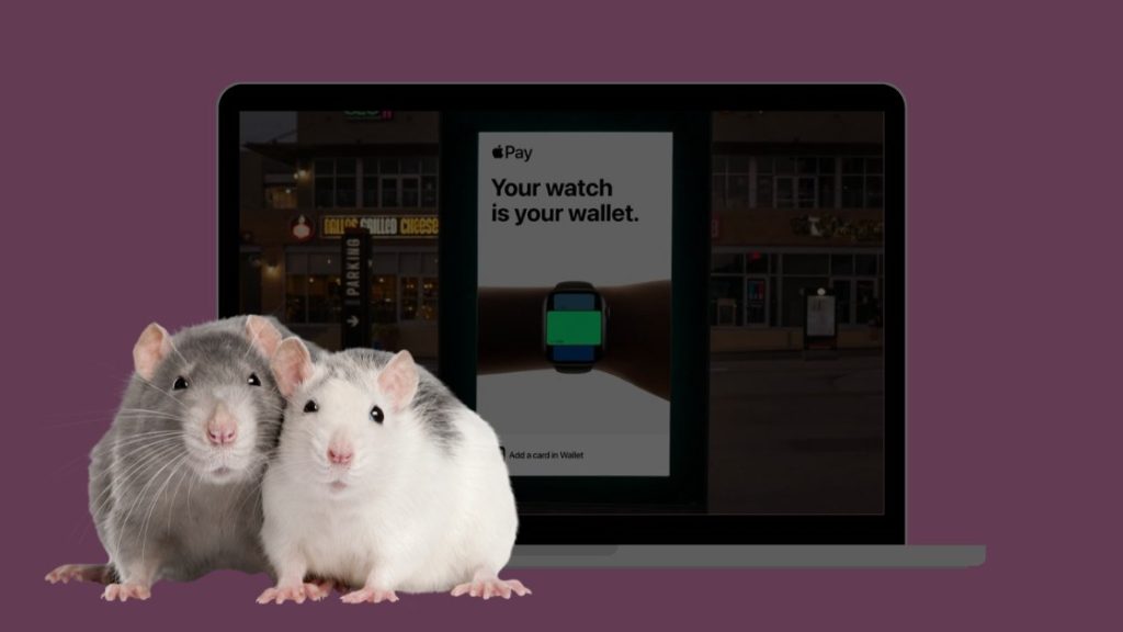 Нова рекламна кампанія Apple «Pay the Apple Way» буде проходити в TikTok