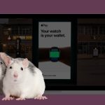 Нова рекламна кампанія Apple «Pay the Apple Way» буде проходити в TikTok