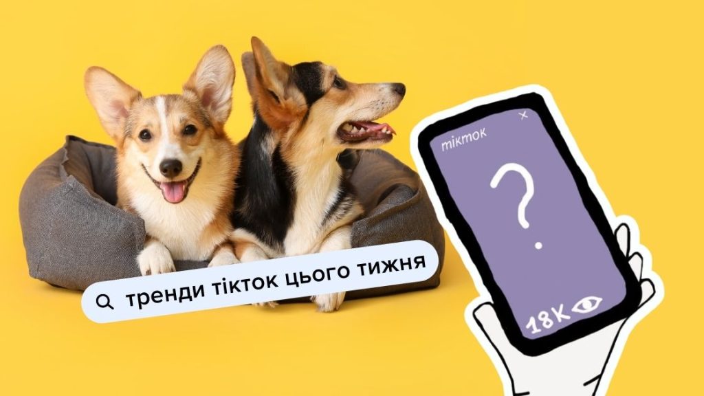 Головні тренди Тікток, які варто спробувати цього тижня