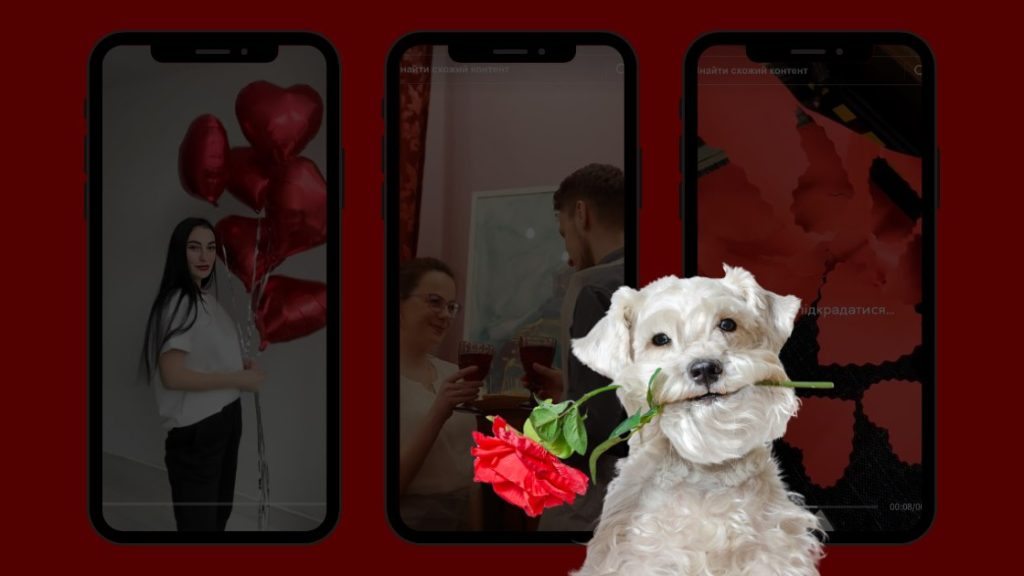 Топ-20 роликів українських брендів про 14 лютого в TikTok