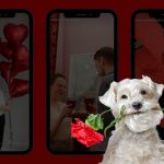 Топ-20 роликів українських брендів про 14 лютого в TikTok