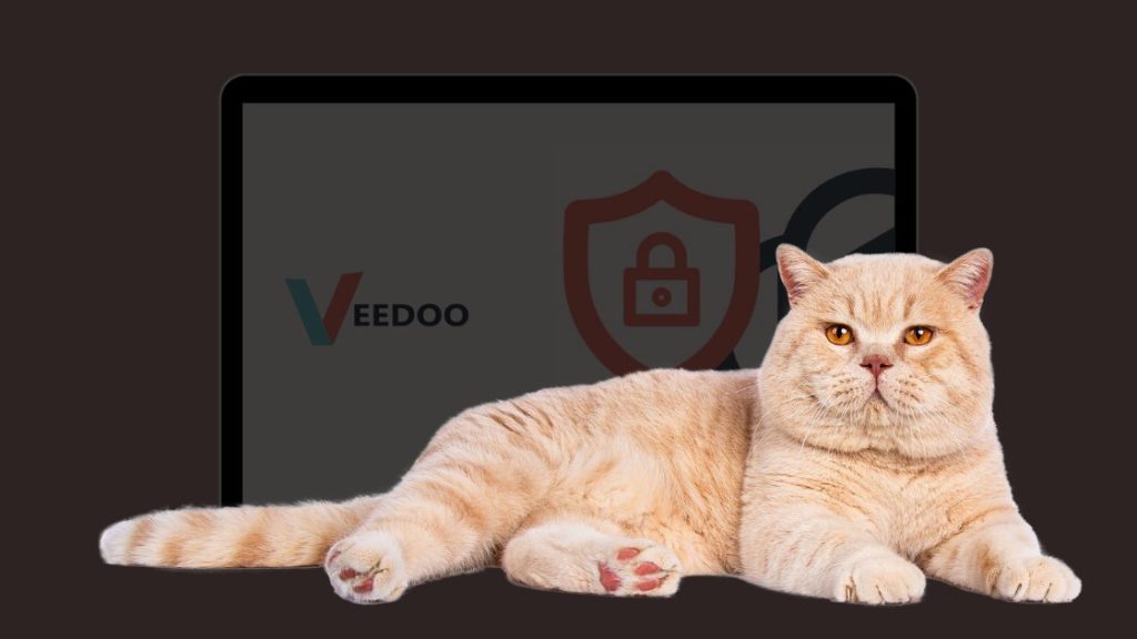 veedoo