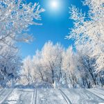 150+ мотиваційних підписів про зиму для вашого Instagram