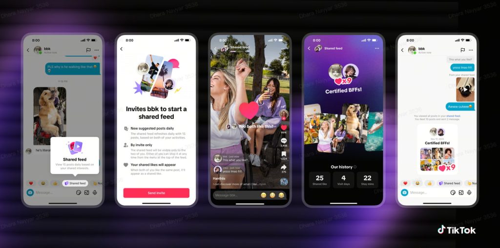Shared Feeds TikTok