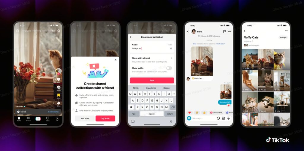 Shared Collections TikTok